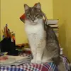 Отзыв от Елена Коровина